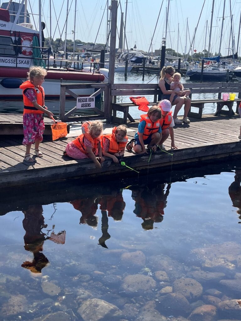 Krabbefiskeri på Assens Marina